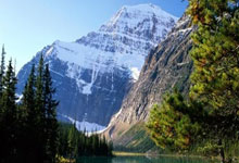 → 辩护人：李铁还没被剪去头发,他今天情绪稳定、表达清晰.