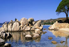 卡斯尔：我们队内相互信任 没有人在乎谁得分.